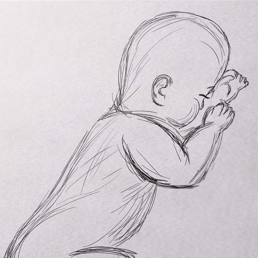 Baby Illustratie 1:1 Schaal "Sketch"